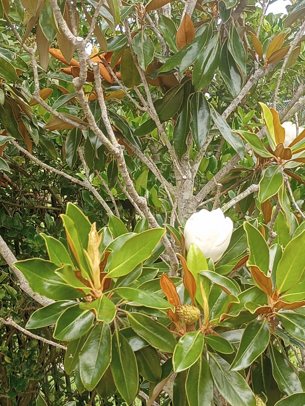 What bothers you and&nbsp;why?