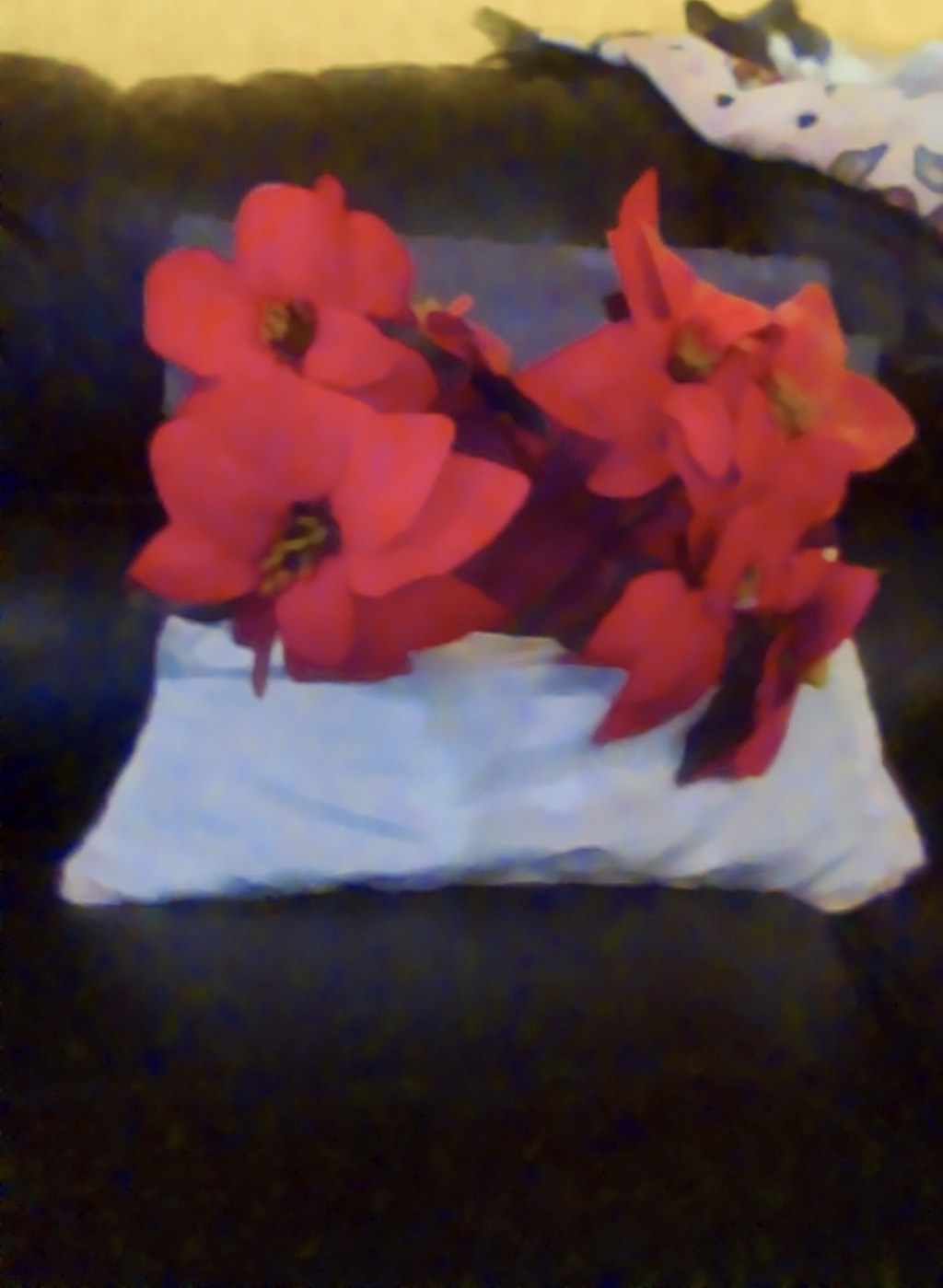 Create an emergency preparedness&nbsp;plan.